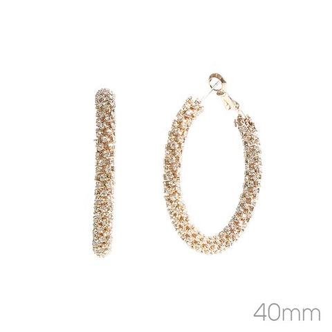 WH Earrings Gold Rhinestone